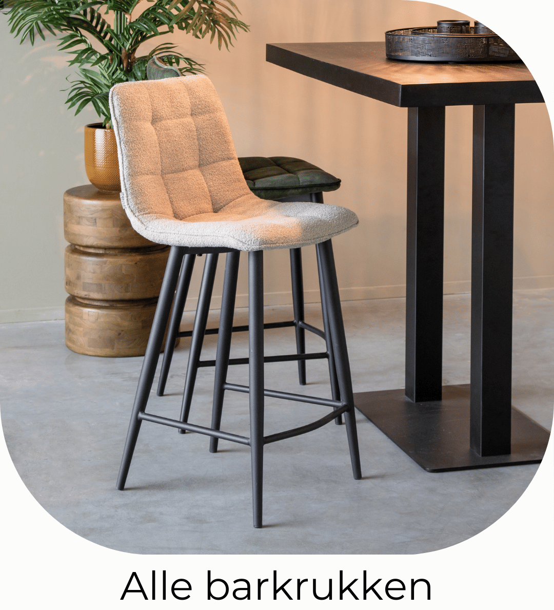 nl_alle_barkrukken